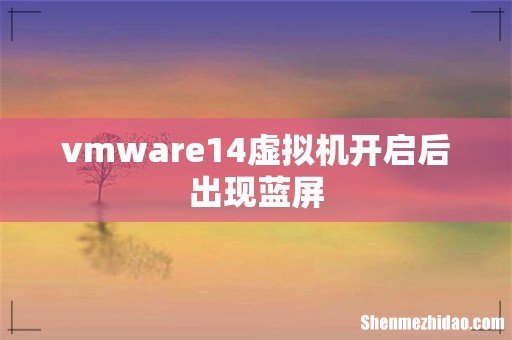 vmware14虚拟机开启后出现蓝屏