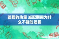 莲藕的热量 减肥期间为什么不能吃莲藕