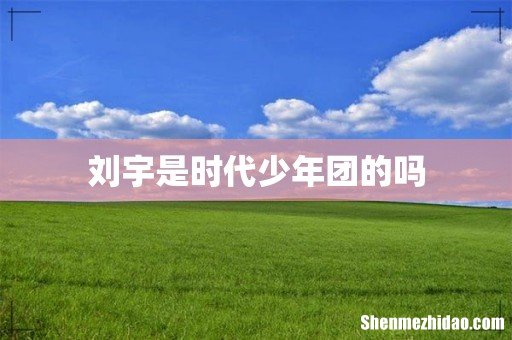 刘宇是时代少年团的吗