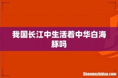 我国长江中生活着中华白海豚吗