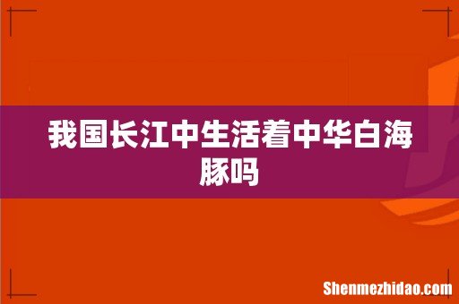 我国长江中生活着中华白海豚吗
