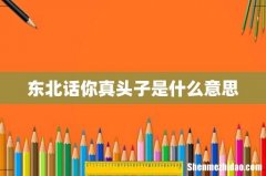东北话你真头子是什么意思