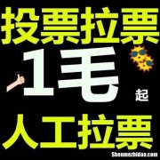 最大的人工投票平台价格多少钱一票 最大的人工投票平台价格多少钱一票合适