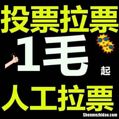 最大的人工投票平台价格多少钱一票 最大的人工投票平台价格多少钱一票合适