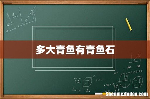 多大青鱼有青鱼石