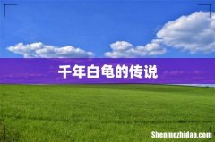 千年白龟的传说