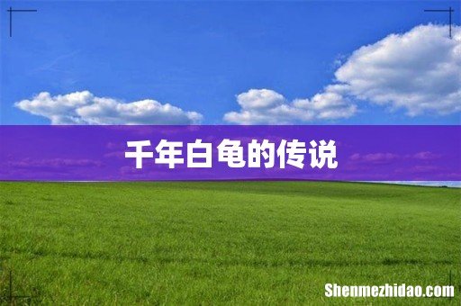 千年白龟的传说