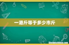 一港斤等于多少市斤
