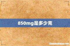 850mg是多少克