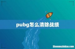 pubg怎么清除战绩