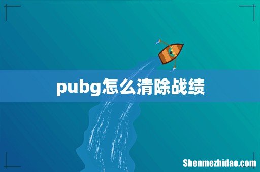 pubg怎么清除战绩