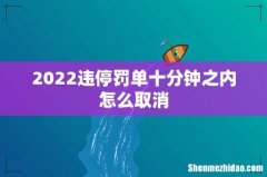 2022违停罚单十分钟之内怎么取消