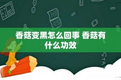 香菇变黑怎么回事 香菇有什么功效