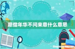 愿偿年华不问来意什么意思