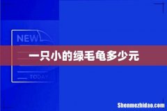 一只小的绿毛龟多少元