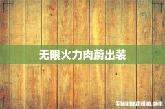 无限火力肉蔚出装