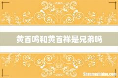 黄百鸣和黄百祥是兄弟吗