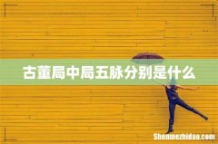 古董局中局五脉分别是什么