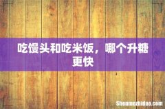 吃馒头和吃米饭，哪个升糖更快