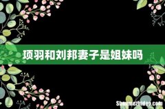 项羽和刘邦妻子是姐妹吗