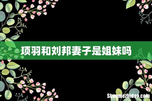 项羽和刘邦妻子是姐妹吗