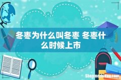 冬枣为什么叫冬枣 冬枣什么时候上市
