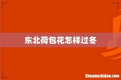 东北荷包花怎样过冬