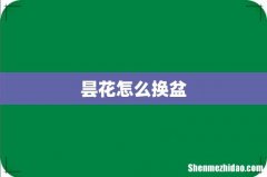 昙花怎么换盆