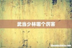 武当少林哪个厉害