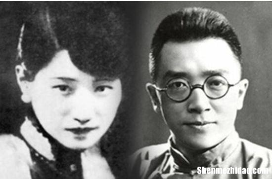 美代子为什么杀志摩 美代子和她的导盲犬阅读题答案