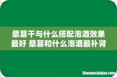 桑葚干与什么搭配泡酒效果最好 桑葚和什么泡酒最补肾