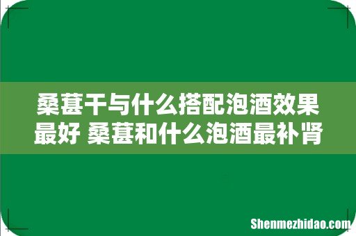 桑葚干与什么搭配泡酒效果最好 桑葚和什么泡酒最补肾