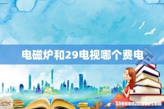电磁炉和29电视哪个费电