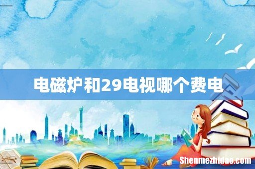 电磁炉和29电视哪个费电