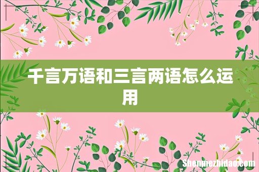 千言万语和三言两语怎么运用