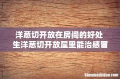 洋葱切开放在房间的好处 生洋葱切开放屋里能治感冒吗