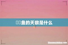 鳑鲏鱼的天敌是什么
