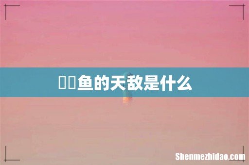 鳑鲏鱼的天敌是什么