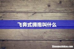 飞奔式拥抱叫什么
