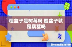 覆盆子是树莓吗 覆盆子就是桑葚吗