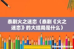 泰剧《火之迷恋》的大结局是什么 泰剧火之迷恋