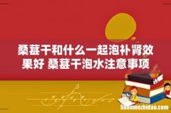 桑葚干和什么一起泡补肾效果好 桑葚干泡水注意事项