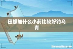 田螺加什么小药比较好钓乌青