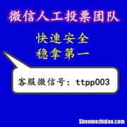 速越网络科技人工投票价格多少钱一票