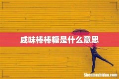 咸味棒棒糖是什么意思