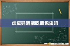 虎皮鹦鹉能吃面包虫吗