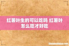 红薯叶生的可以吃吗 红薯叶怎么吃才好吃