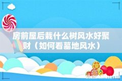 如何看墓地风水 房前屋后栽什么树风水好聚财
