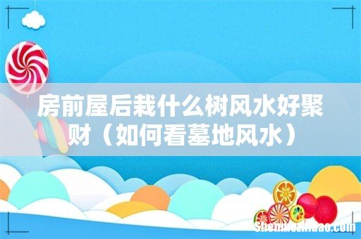如何看墓地风水 房前屋后栽什么树风水好聚财