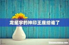 龙星宇的神印王座给谁了